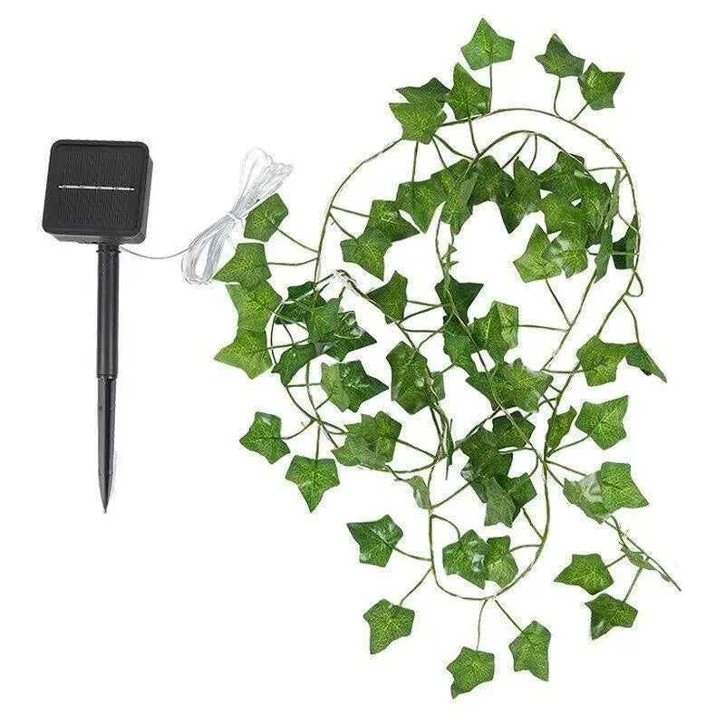 Solar Ivy Vine Fairy Lights – 10M, 100 LED - BBQ Backyard Supply Co